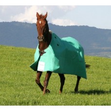 Canvas Sheet Unlined - Ranfurly & Foxbridge